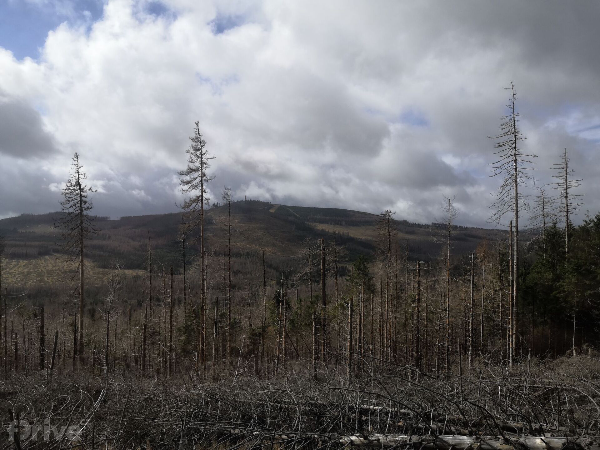 Elektromobilem s přívěsem