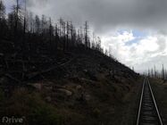 Elektromobilem s přívěsem