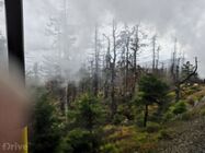 Elektromobilem s přívěsem