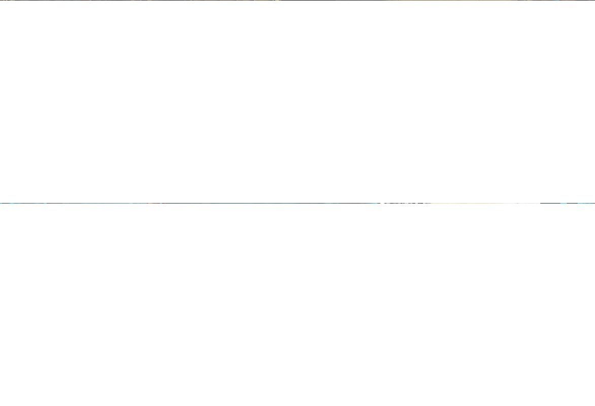 Ford E-Transit Custom