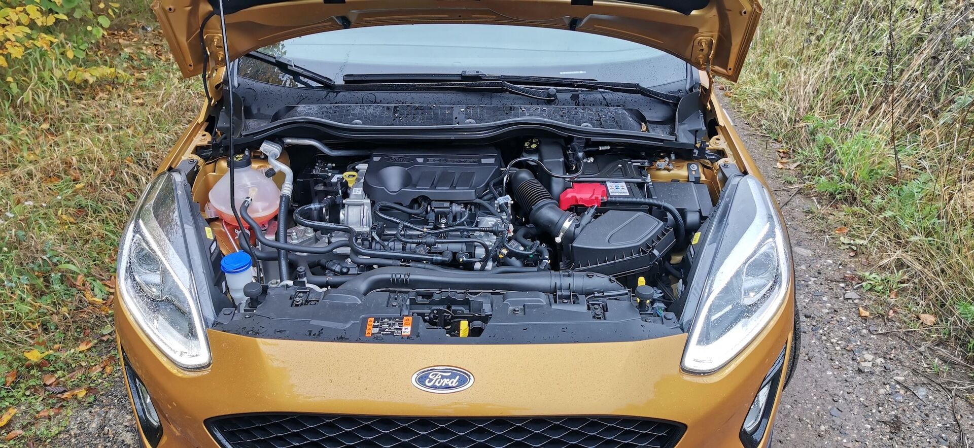 Ford Fiesta EcoBoost Hybrid