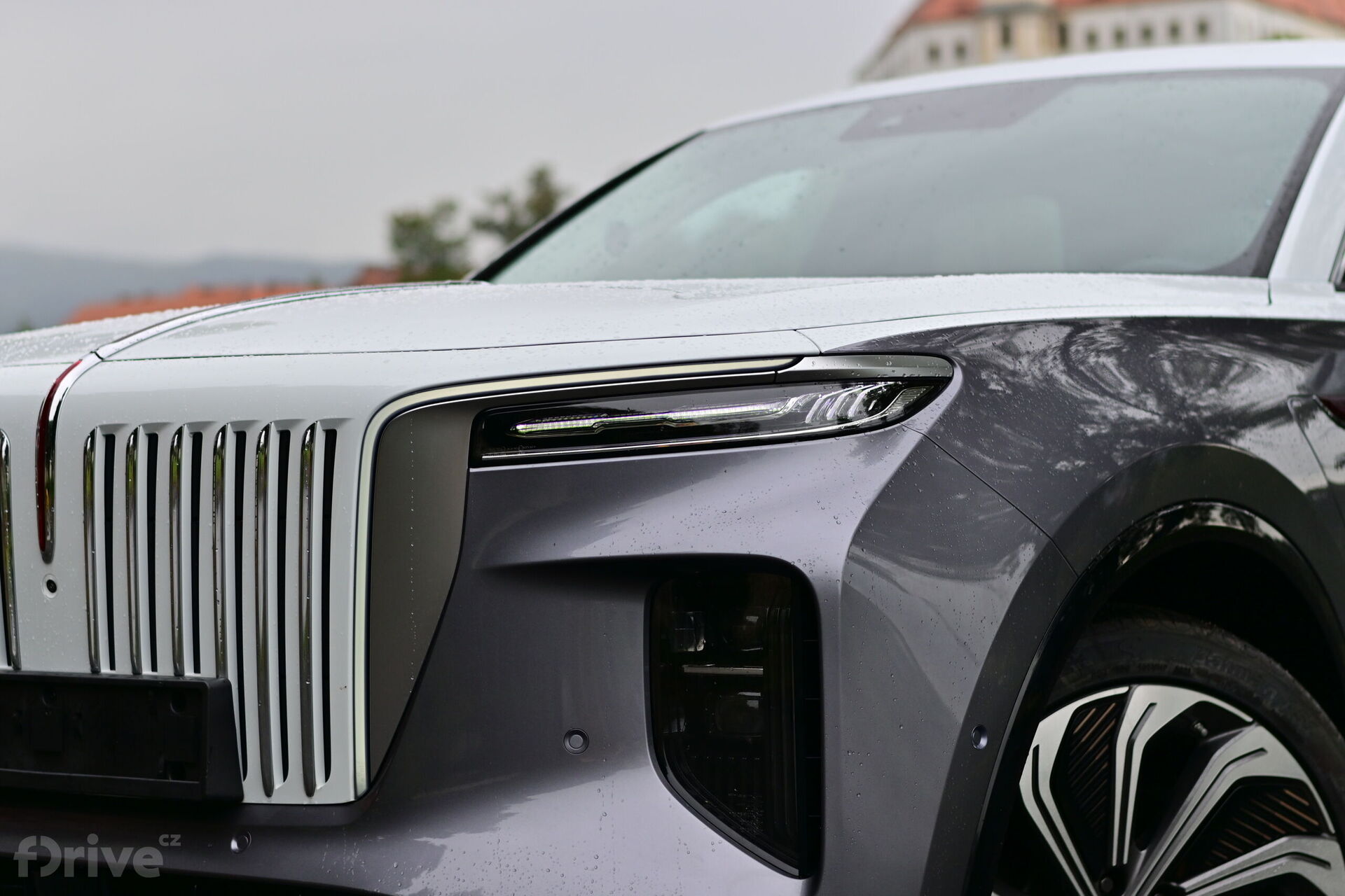 Hongqi  E-HS9