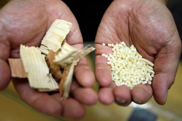 Karbon je prý mrtvý a při odlehčování aut budeme používat dřevo