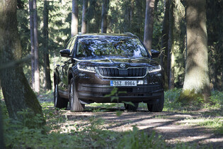 Škoda Kodiaq 