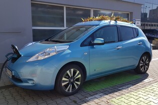 Největší „faktor zíravosti“ má Nissan Leaf se zahrádkou. Tou živou