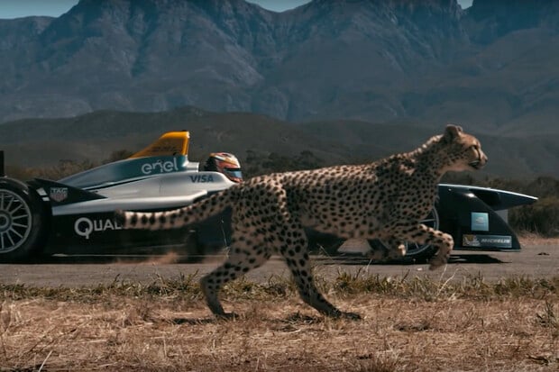 Kdo s koho? Gepard versus monopost Formule E