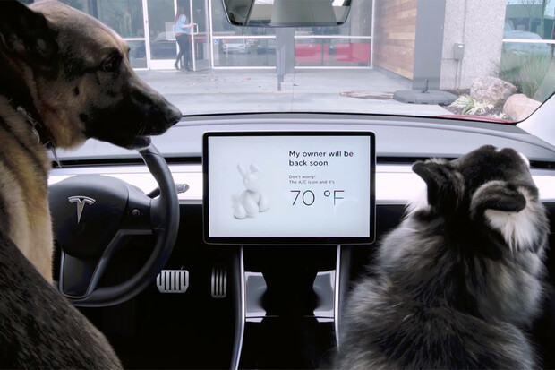 Tesla vyřešila nebezpečnou chybu v populárním módu pro domácí mazlíčky