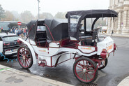Ve Vídni můžete vidět elektrický fiakr