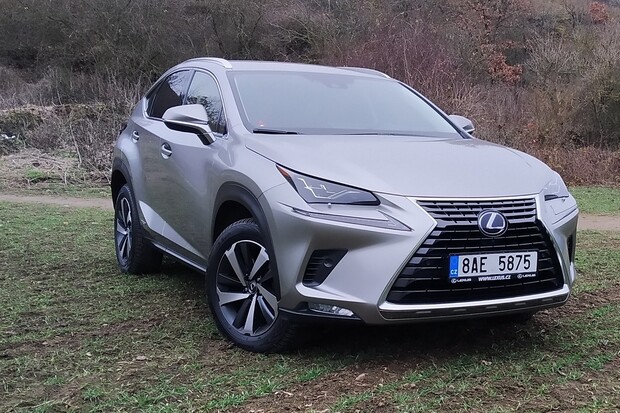Lexus NX 300h AWD (2020)