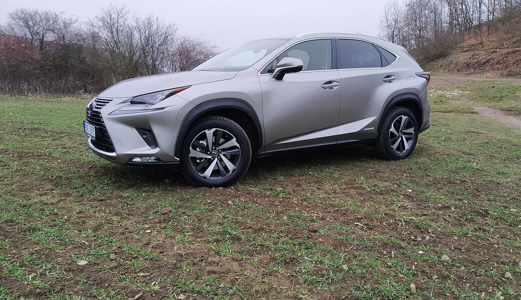 Lexus NX 300h AWD (2020)