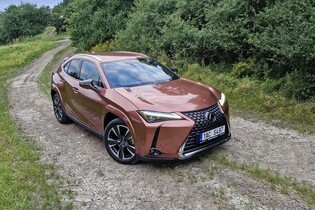 Lexus UX 300h AWD Luxury (2024)
