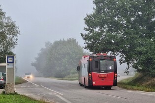 České Budějovice testují nové bateriové trolejbusy. Zvládnou i Rudolfovské kopce?