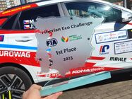 IV Eco Rallye Bilbao Petronor