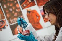 Jak vybíráme barvu svého auta?