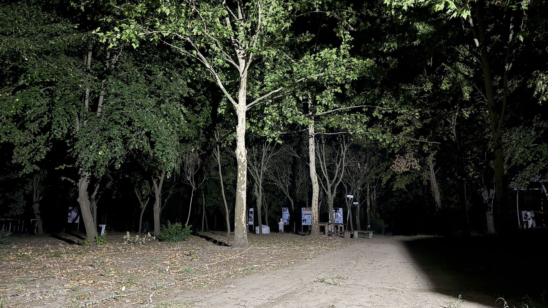 Jsou tu různé staré sochy