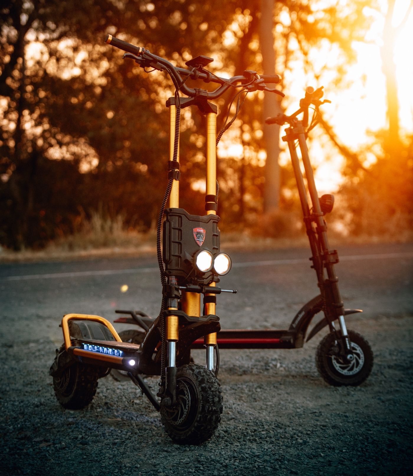 Kaabo Wolf King GT Pro