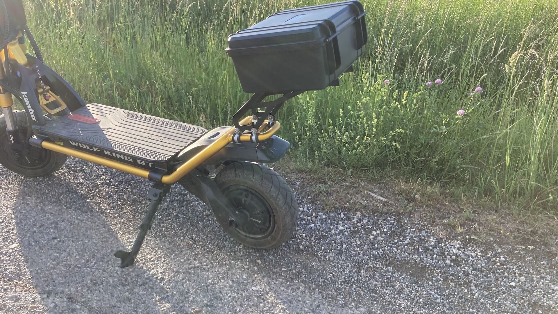 Kaabo Wolf King GT Pro