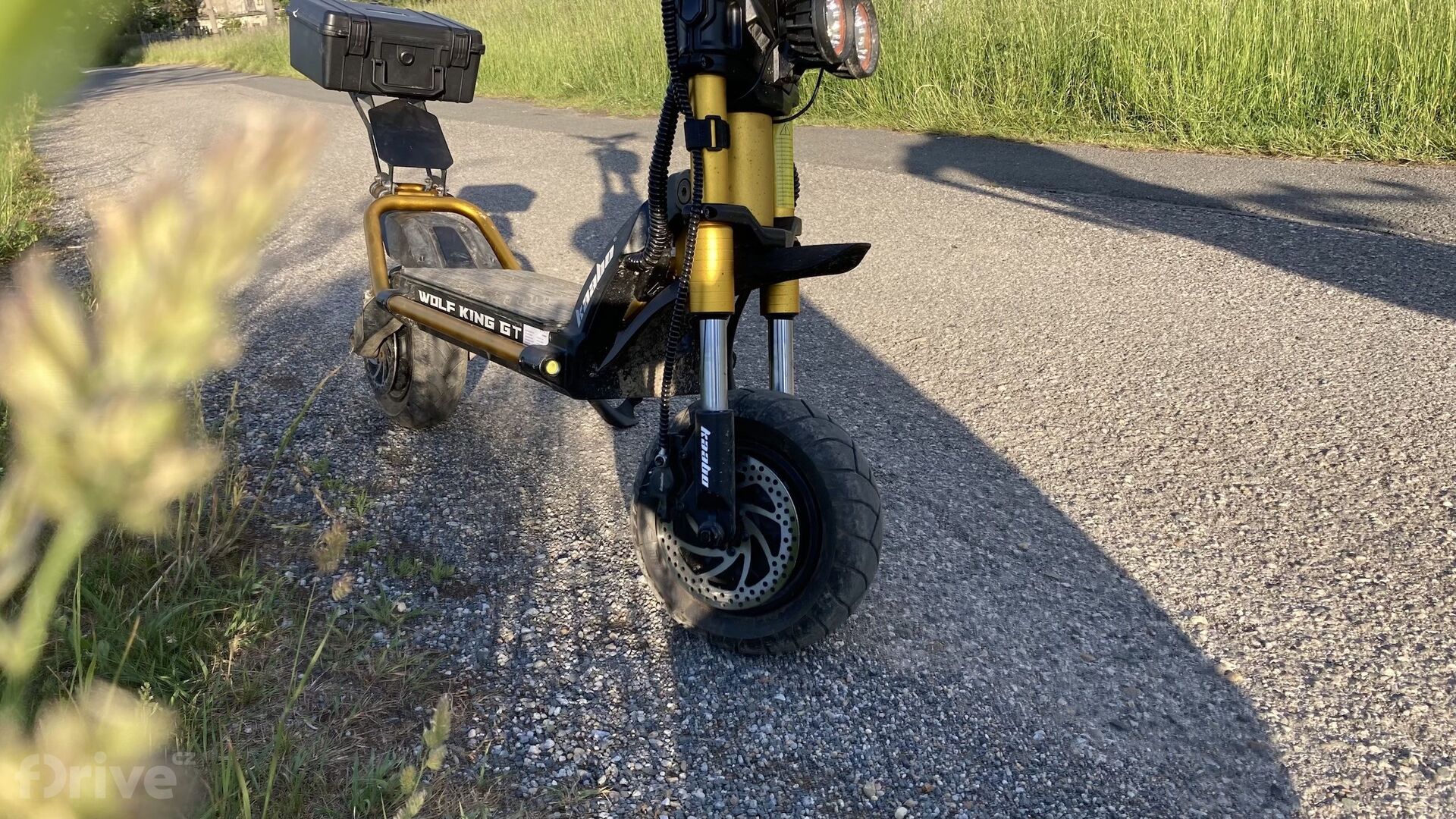 Kaabo Wolf King GT Pro