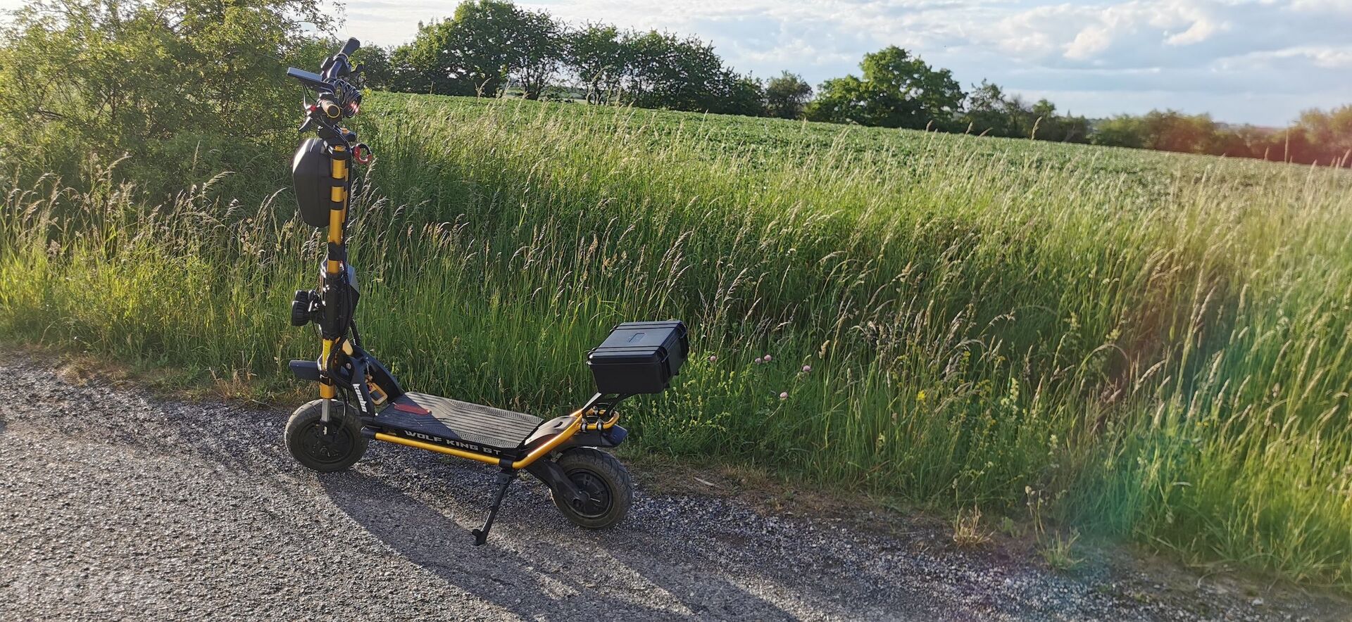 Kaabo Wolf King GT Pro