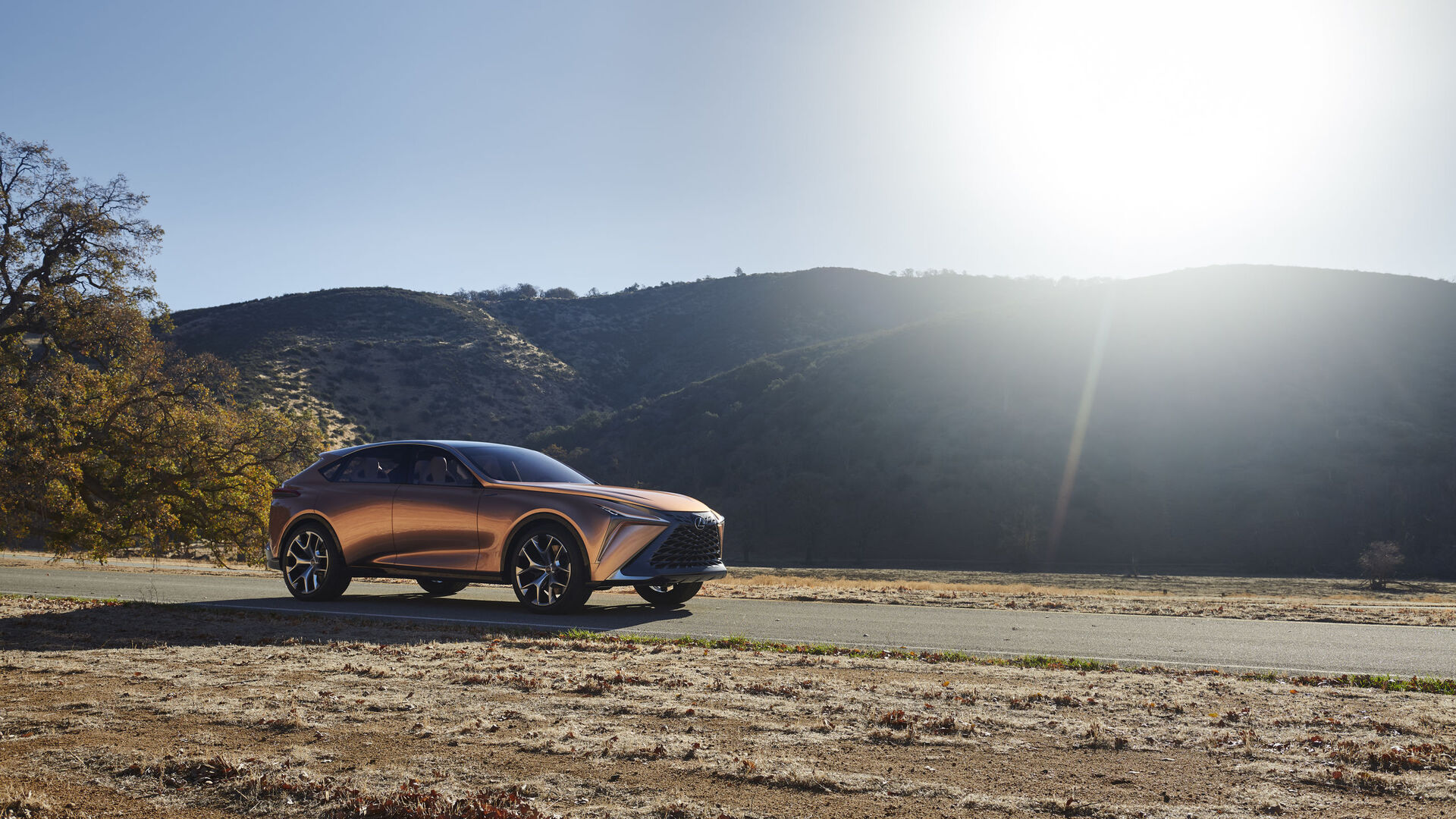Lexus LF-1 Limitless