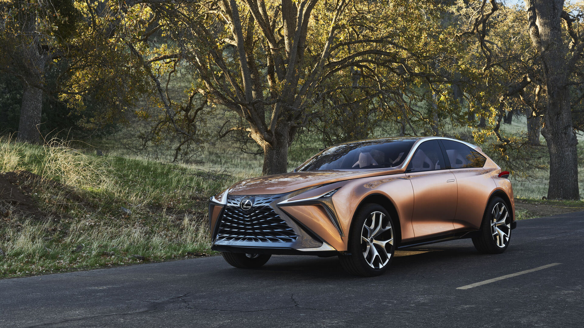 Lexus LF-1 Limitless