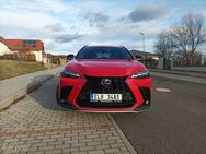 Lexus NX (2021)