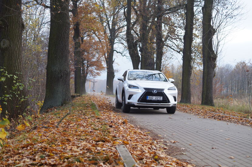 Lexus NX 300h (2015)