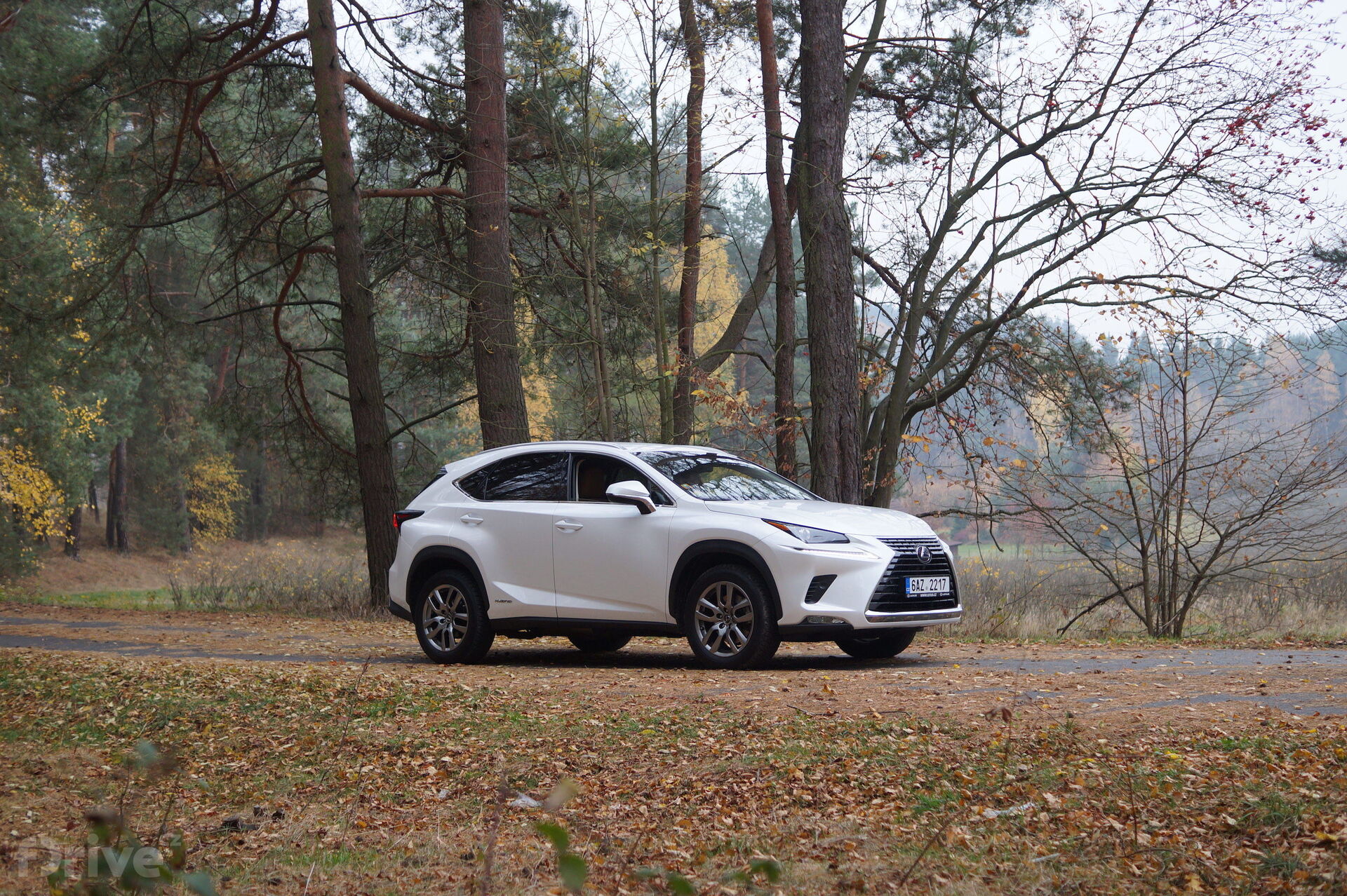 Lexus NX 300h (2015)
