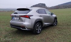Lexus NX 300h AWD (2020)