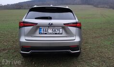 Lexus NX 300h AWD (2020)