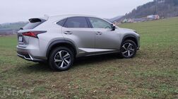 Lexus NX 300h AWD (2020)