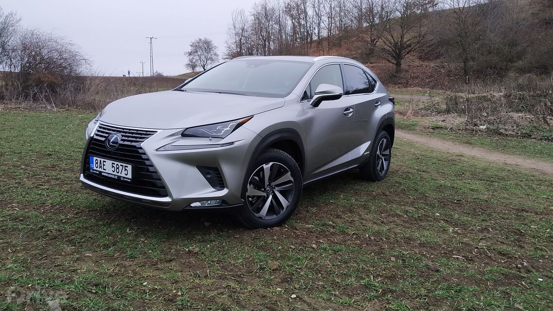 Lexus NX 300h AWD (2020)