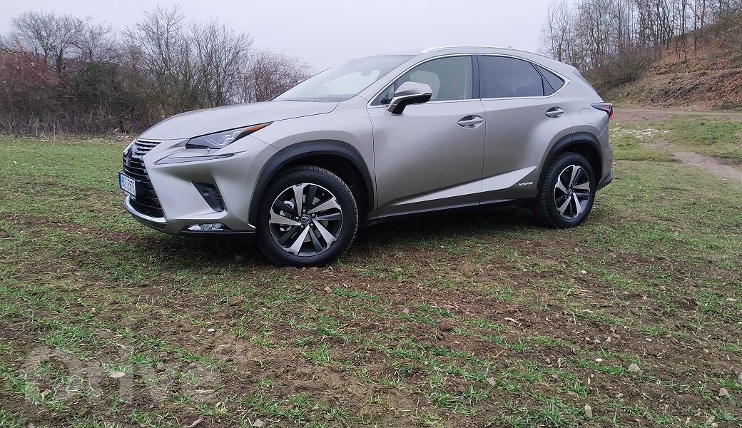 Lexus NX 300h AWD (2020)