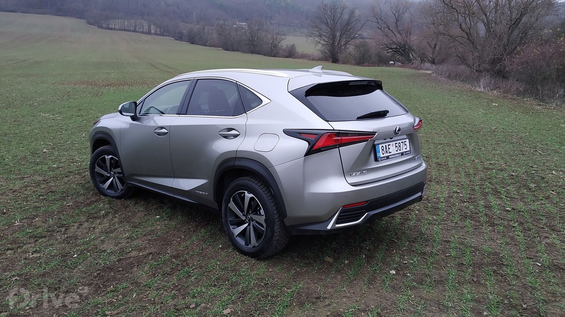 Lexus NX 300h AWD (2020)
