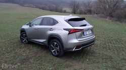 Lexus NX 300h AWD (2020)