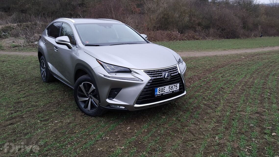 Lexus NX 300h AWD (2020)