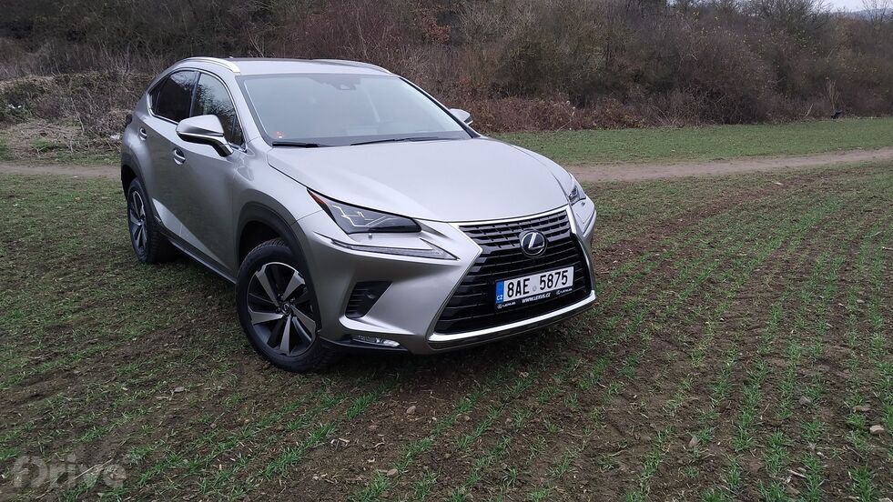 Lexus NX 300h AWD (2020)