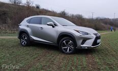 Lexus NX 300h AWD (2020)