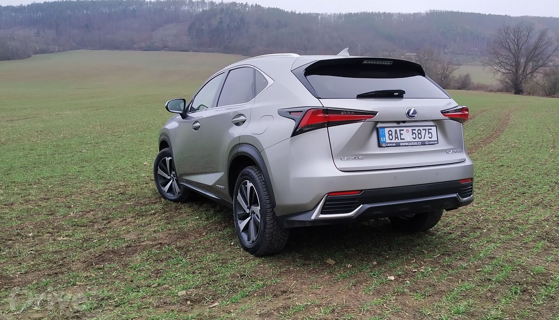 Lexus NX 300h AWD (2020)