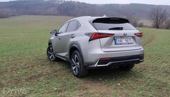 Lexus NX 300h AWD (2020)