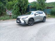 Lexus NX 350h Luxury Top (2022)