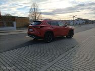 Lexus NX 450h+ 4x4 E-Four F Sport Top