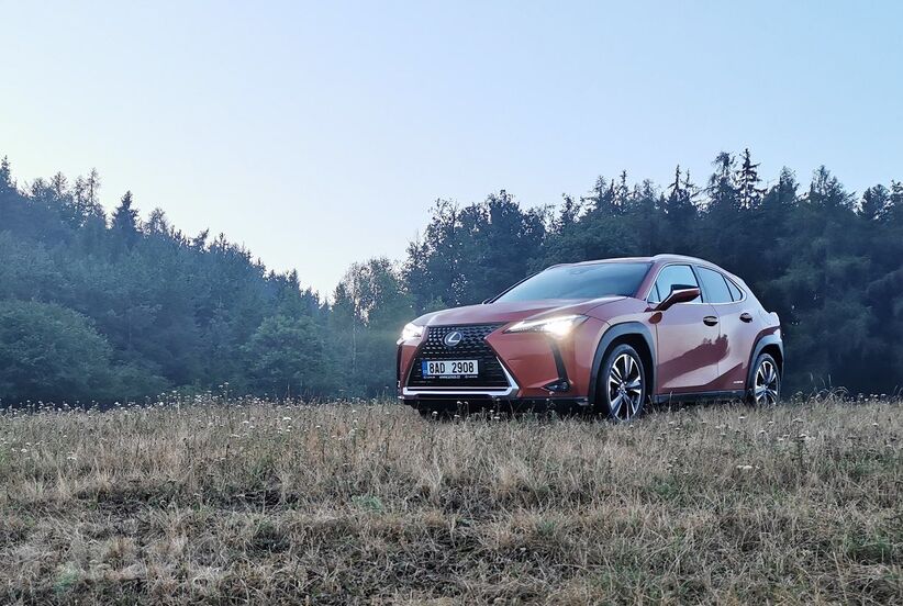 Lexus UX 250h 4x4