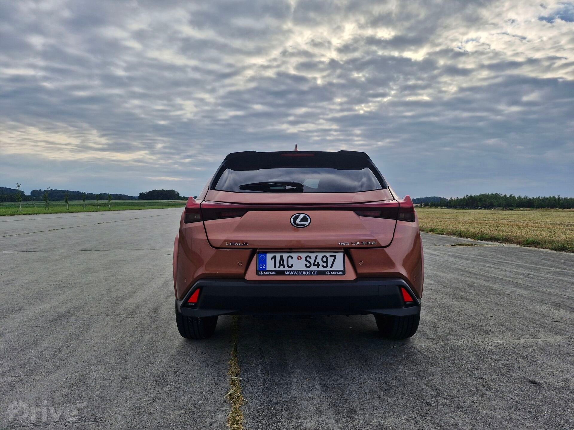 Lexus UX 300h AWD Luxury (2024)