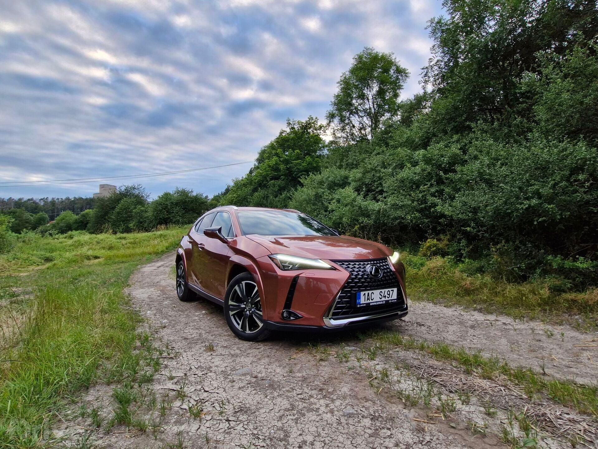 Lexus UX 300h AWD Luxury (2024)