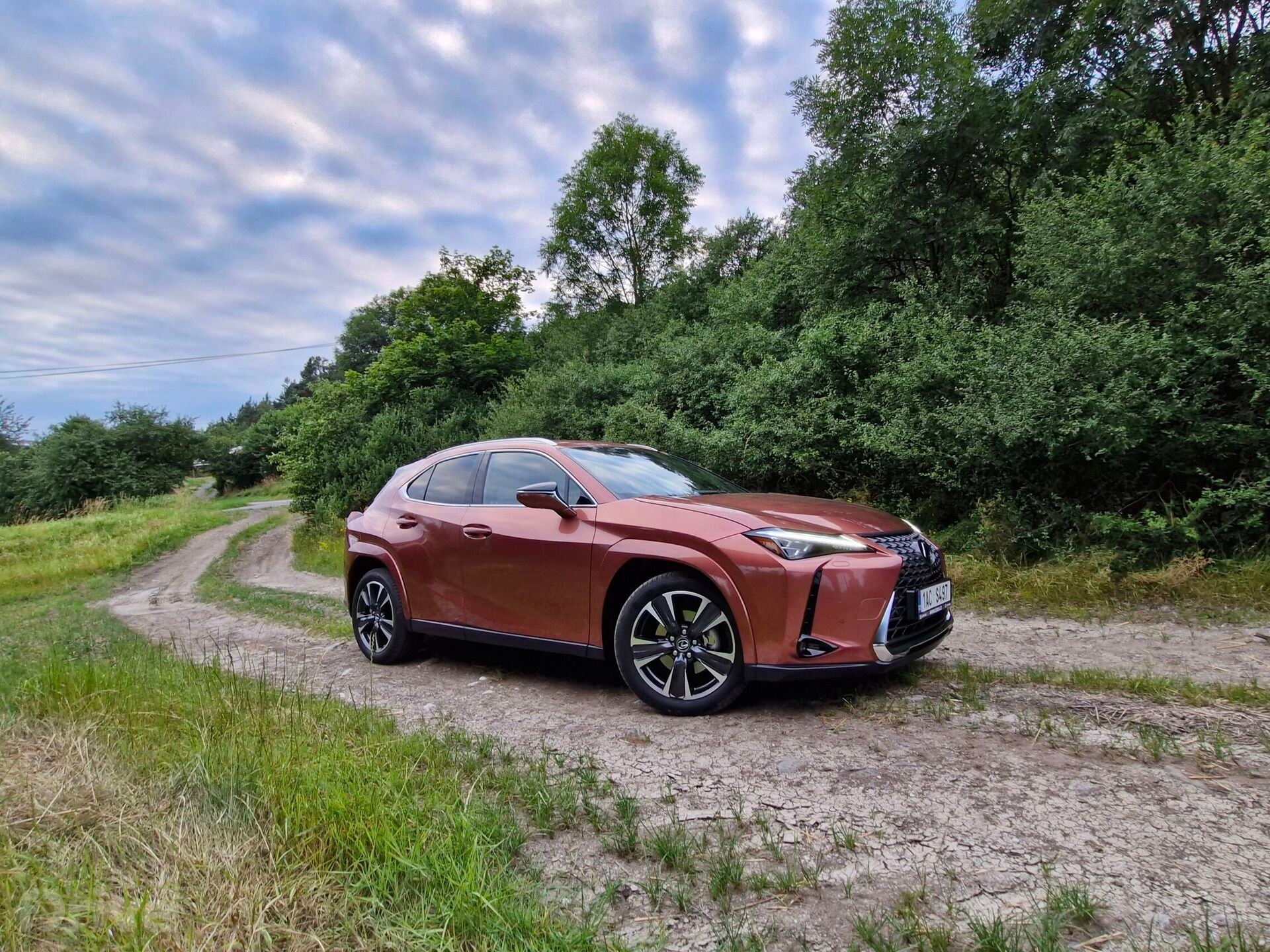 Lexus UX 300h AWD Luxury (2024)