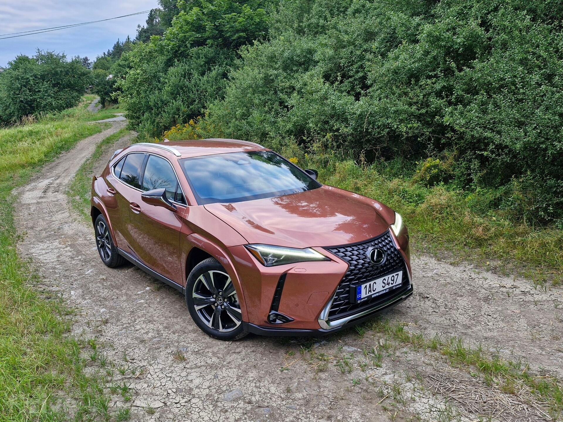 Lexus UX 300h AWD Luxury (2024)