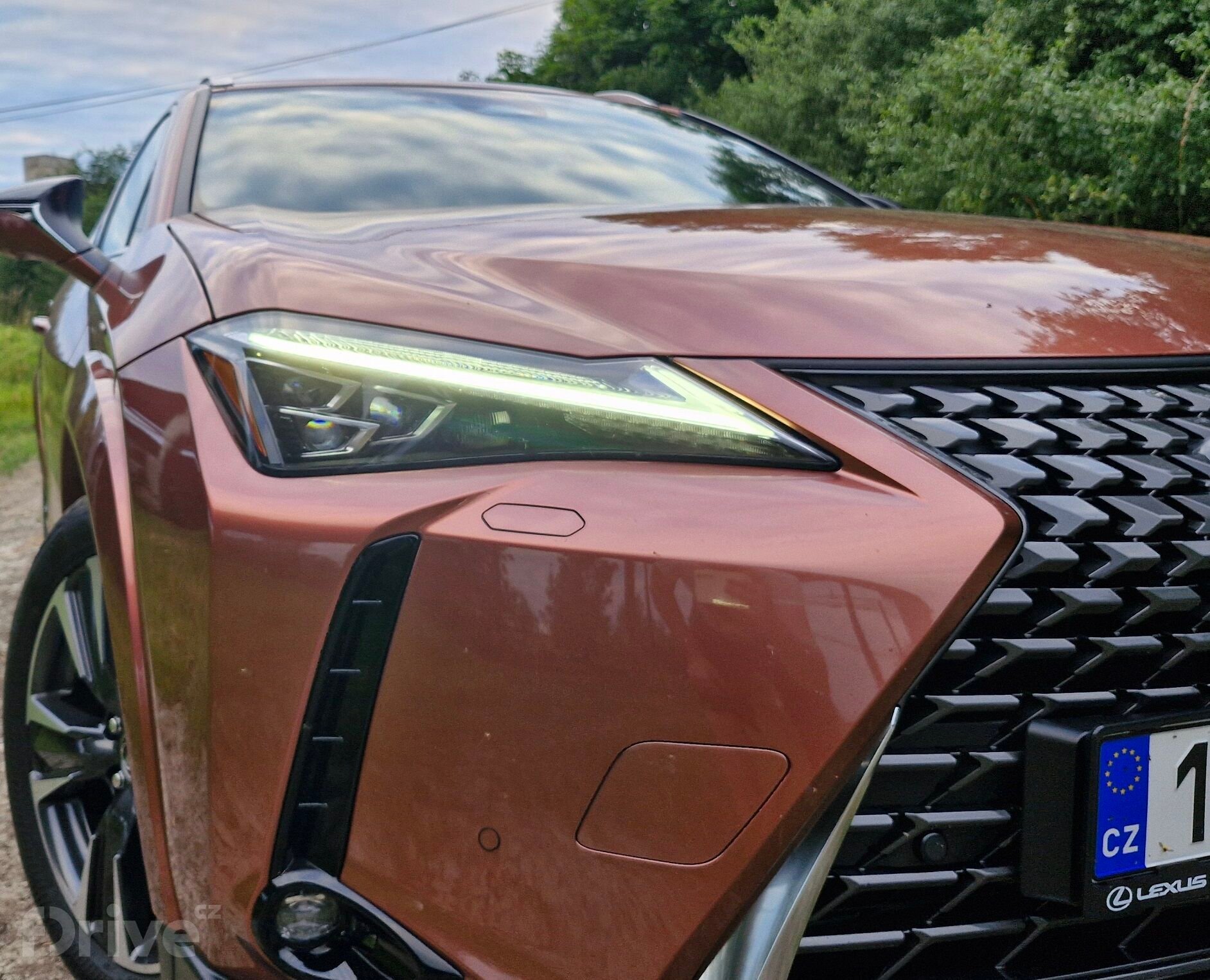 Lexus UX 300h AWD Luxury (2024)