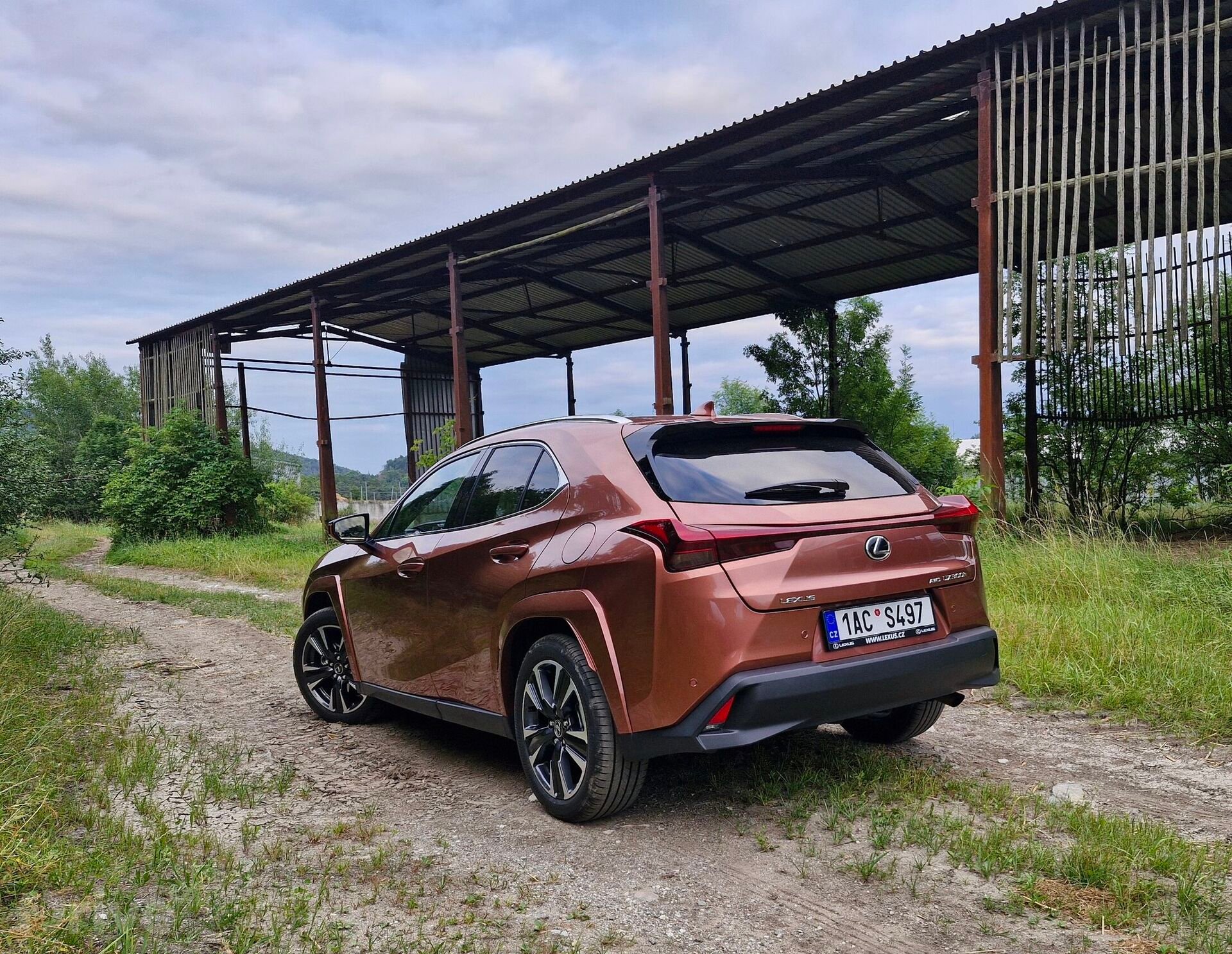 Lexus UX 300h AWD Luxury (2024)