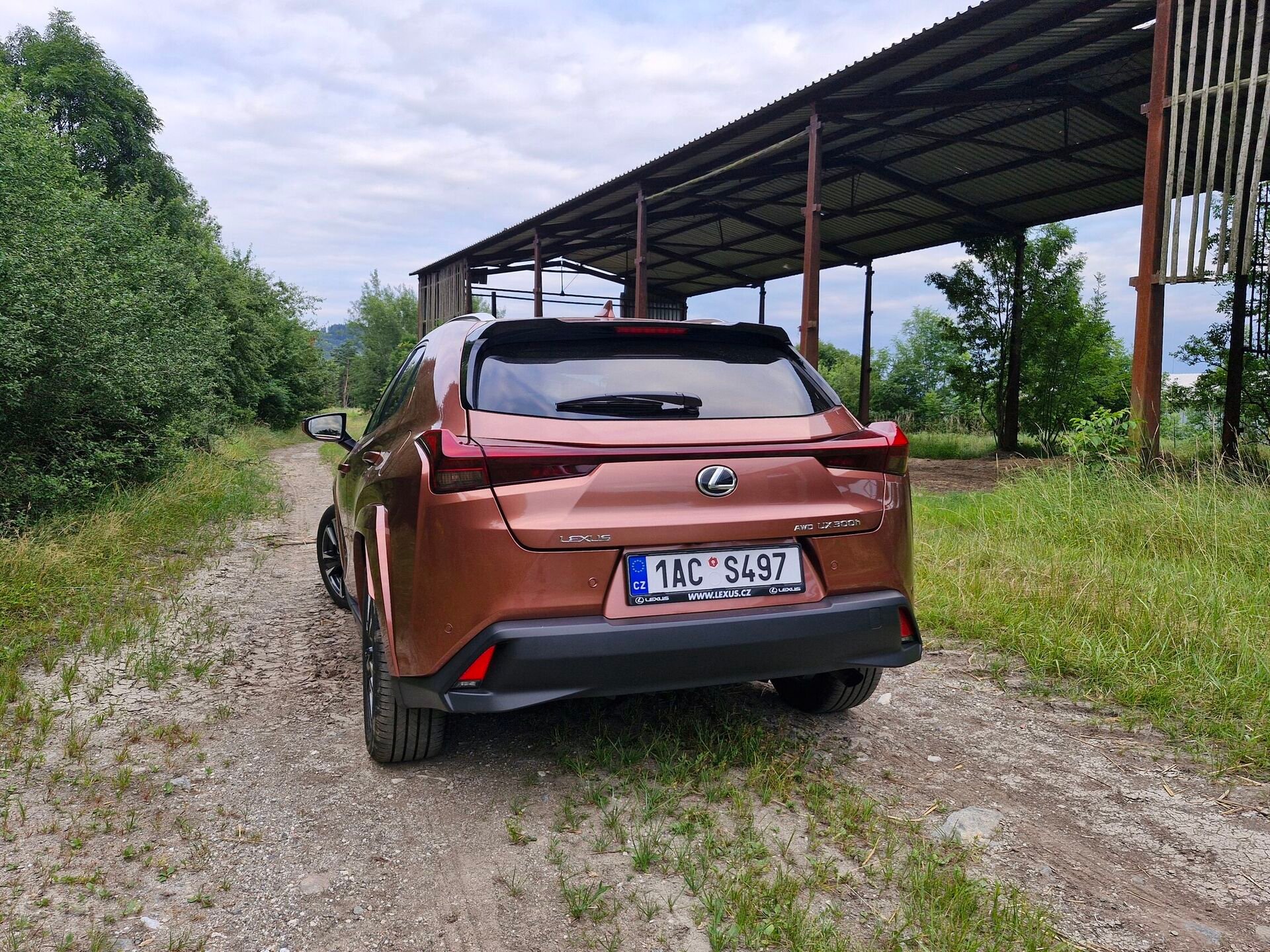 Lexus UX 300h AWD Luxury (2024)